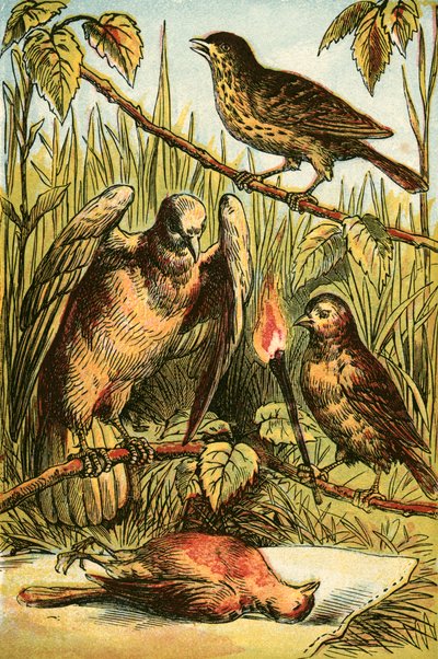 Le Chardonneret, la Colombe et le Rouge-gorge - English School
