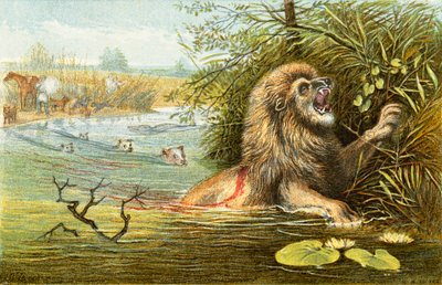 Le Lion - 