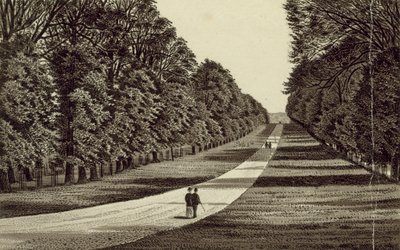 La longue marche - English School