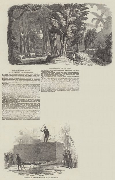 Commerce de l