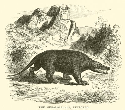 Le Mégalosaure, restauré (gravure) - English School