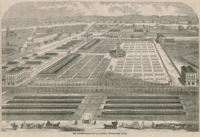 Le Marché aux Bestiaux Métropolitain, Copenhagen Fields, Londres - English School