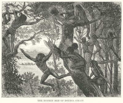 Les hommes-singes du détroit de Dourga (gravure) - English School