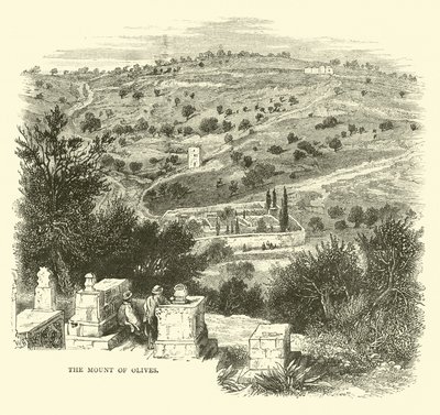 Le Mont des Oliviers - English School