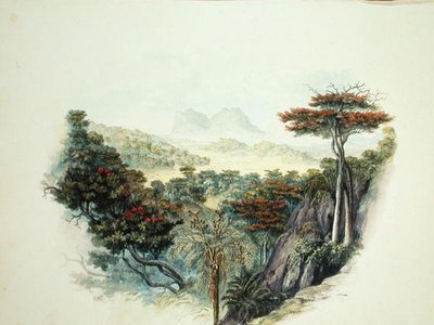 Les montagnes, Ceylan - English School