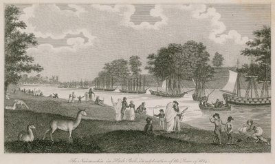 La Naumachie à Hyde Park en célébration de la paix de 1814 - English School