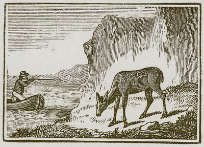 La biche borgne (gravure) - English School