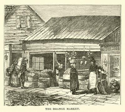 Le marché aux oranges - English School