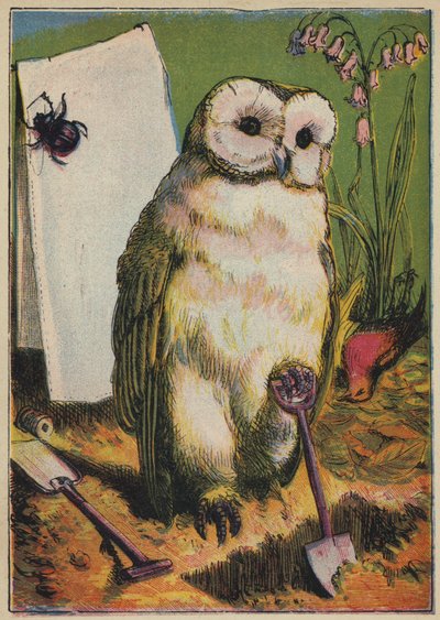 Le Hibou, le Scarabée et le Rouge-Gorge - English School