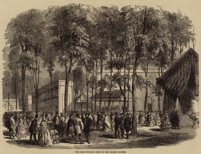 Le Salon de la volaille de Paris, aux Champs-Élysées (gravure) - English School