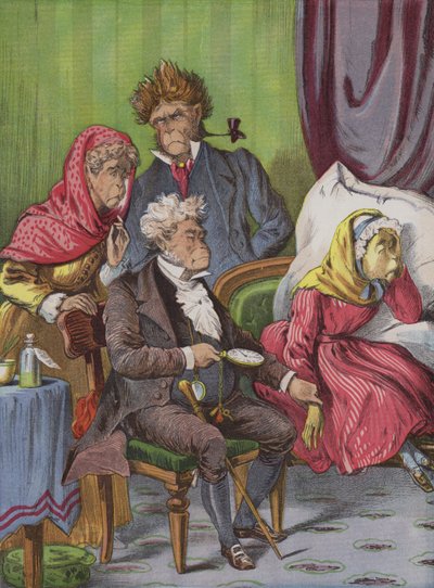 Le médecin (chromolithographie) - English School