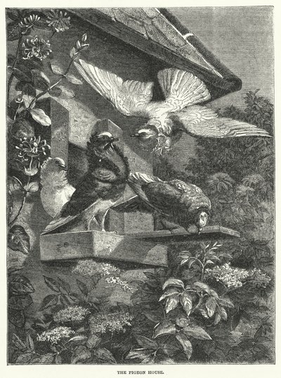 La Maison des pigeons (gravure) - English School