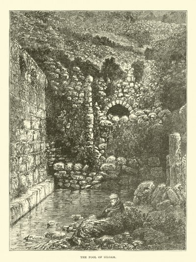 La piscine de Siloé - English School