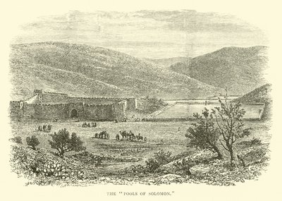 Les Bassins de Salomon - English School