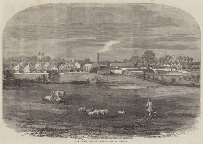 La ferme modèle du prince consort à Osborne (gravure) - English School