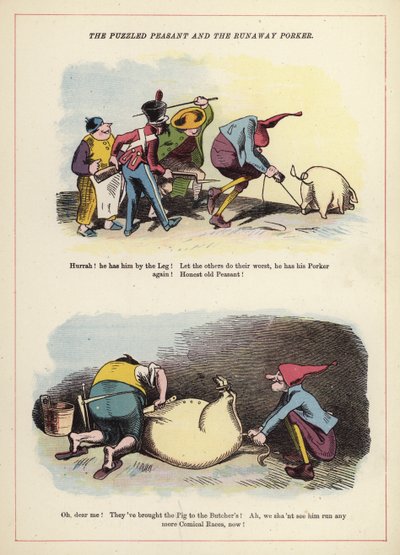 Le paysan perplexe et le cochon en fuite - English School