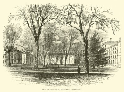Le Quadrangle, Université Harvard - English School