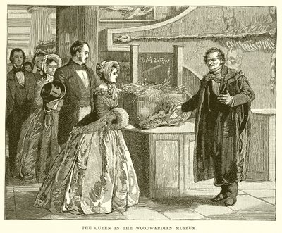 La Reine au Musée Woodwardian - English School