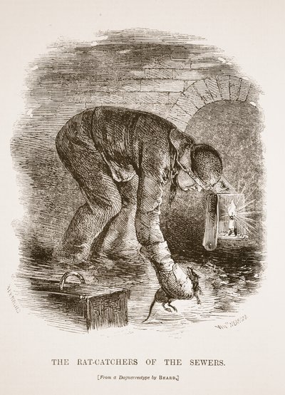 Les chasseurs de rats des égouts, d