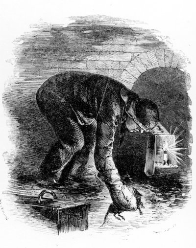 Les chasseurs de rats des égouts, illustration de 