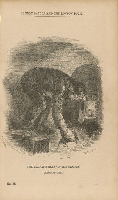 Les chasseurs de rats des égouts - English School