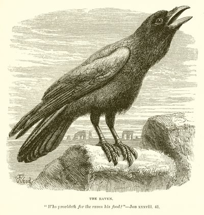 Le Corbeau - English School