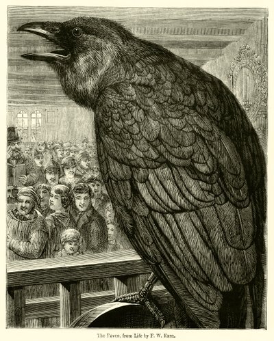 Le corbeau, d
