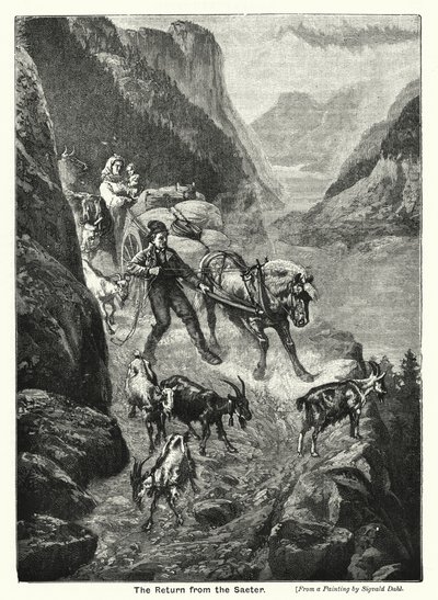 Le retour du Saeter (gravure) - English School