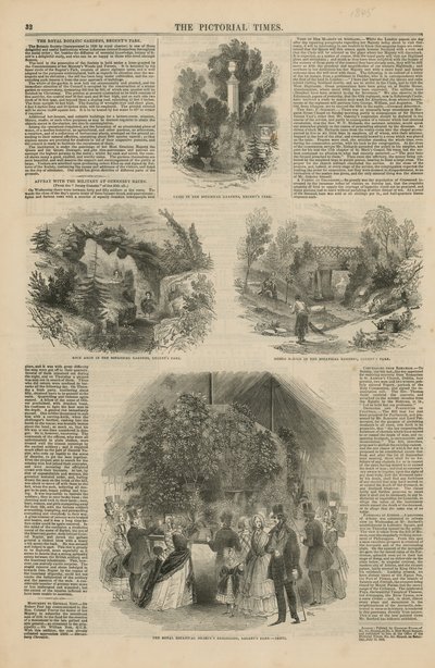 Les jardins botaniques royaux - English School
