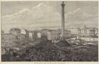 La revue royale des troupes d