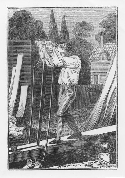 Le scieur, extrait de The Young Tradesman or Book of English Trades, 1839 - English School