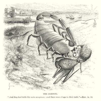 Le Scorpion (gravure) - English School