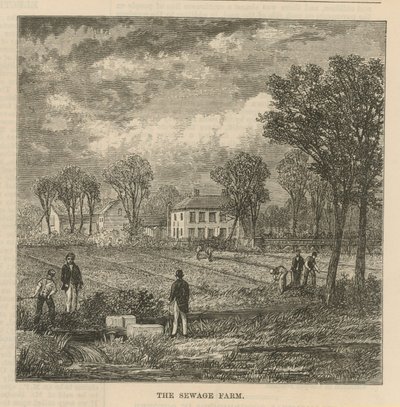 La ferme d