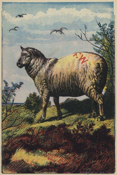 Les Moutons - English School