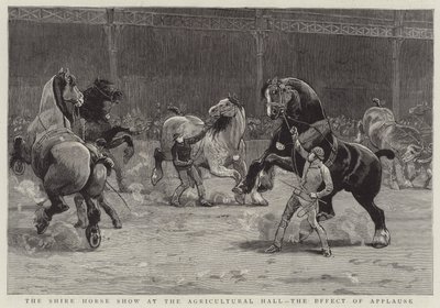 Le spectacle de chevaux de trait à l