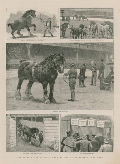 Le salon de la Shire Horse Society au Hall agricole royal - English School