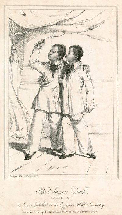 Les jeunes siamois (âgés de 18 ans), une nouvelle exposition au Egyptian Hall, Piccadilly - English School