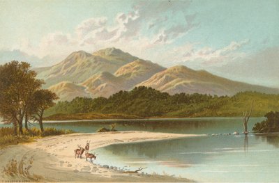 La Plage d