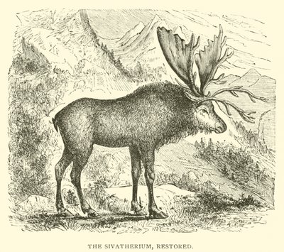 Le Sivathérium, restauré (gravure) - English School