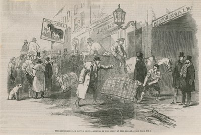 Exposition de bétail du Smithfield Club - English School