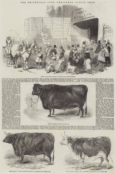 Exposition de bétail de Noël du Smithfield Club - English School