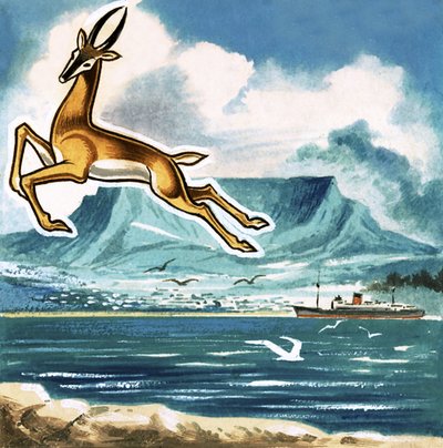 Le Springbok, emblème de l