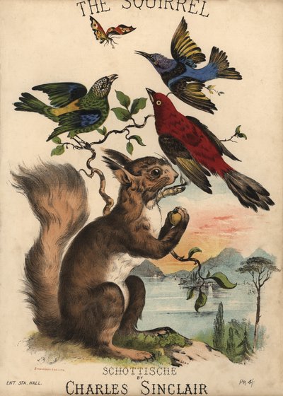 Le Écureuil, Schottische par Charles Sinclair, couverture de partition - English School