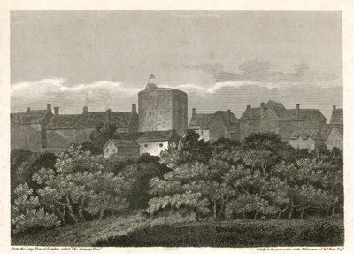 Le théâtre du Cygne sur Bankside tel qu
