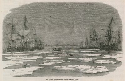 La Tamise en aval du pont - English School