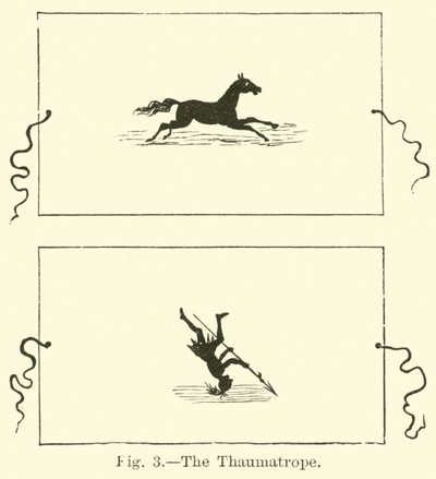 Le thaumatrope - English School