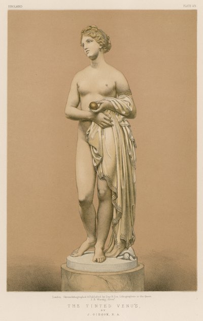 La Vénus Teintée - English School