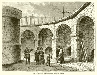 La ménagerie de la Tour vers 1820 - English School