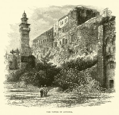 La tour d