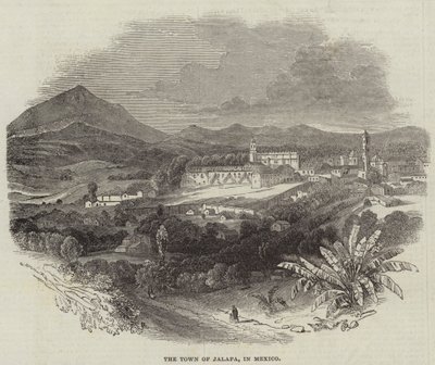 La Ville de Jalapa, au Mexique (gravure) - English School